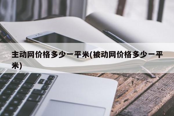 主动网价格多少一平米(被动网价格多少一平米)